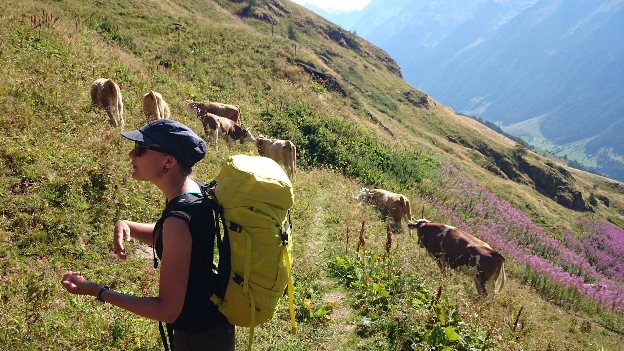 Sint-Martinus den XIIde - Internationaal kamp 2015 Kandersteg + Milaan